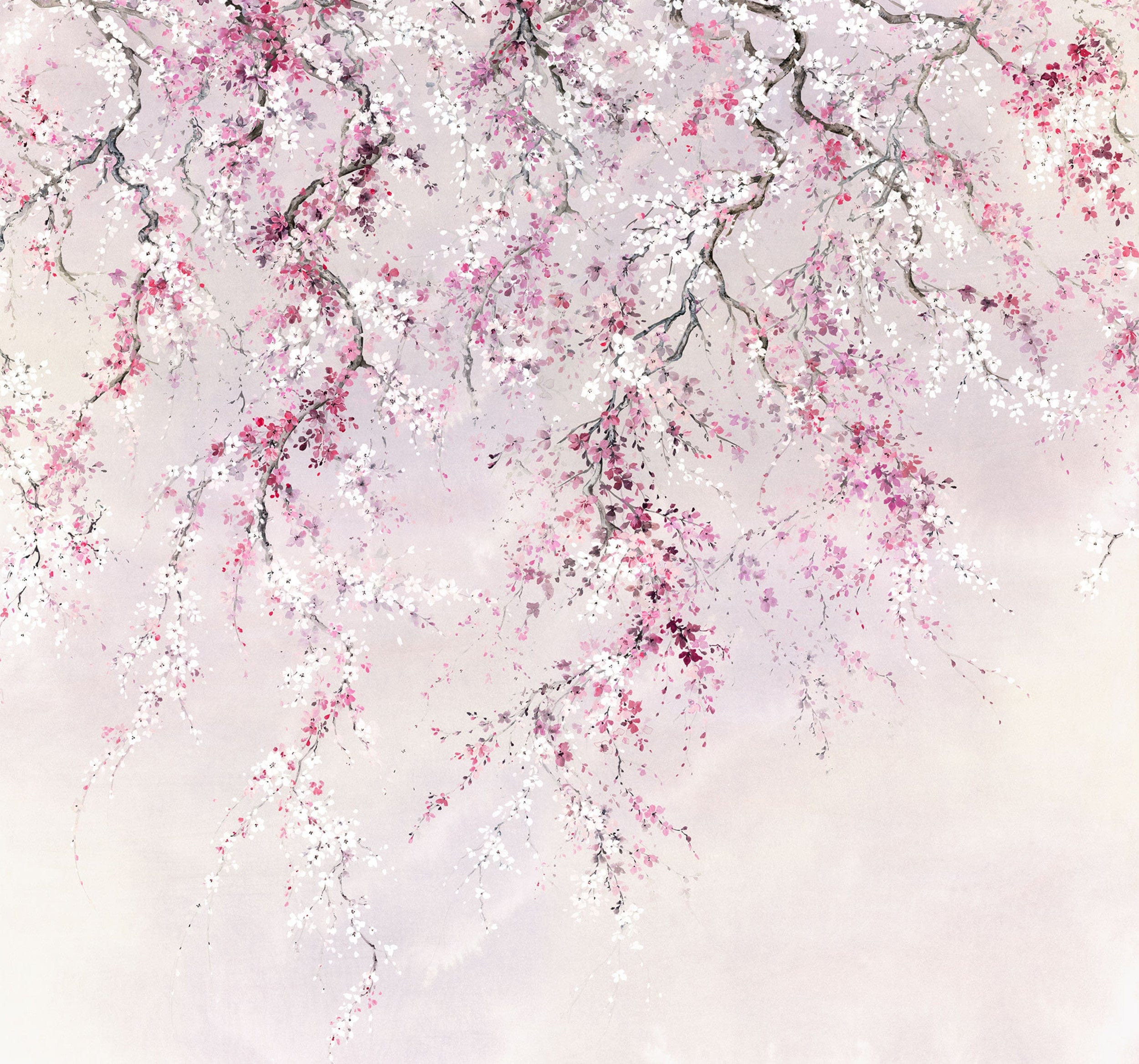 Fotobehang - Kirschblüten 300x280cm - Vliesbehang
