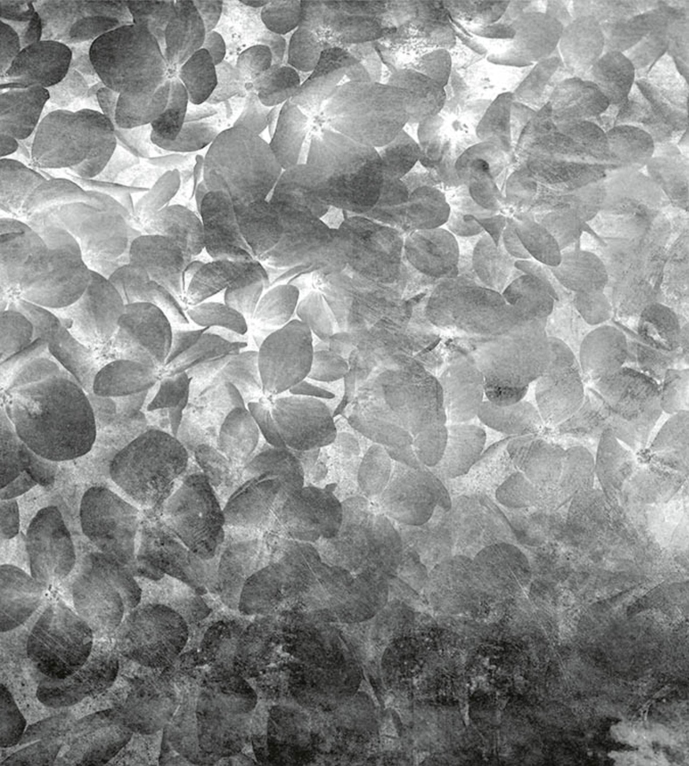 Fotobehang - Apple Tree Abstract II 225x250cm - Vliesbehang