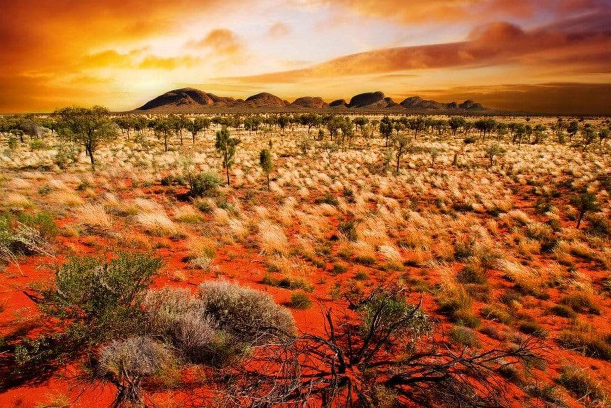 Fotobehang - Australian Landscape 375x250cm - Vliesbehang