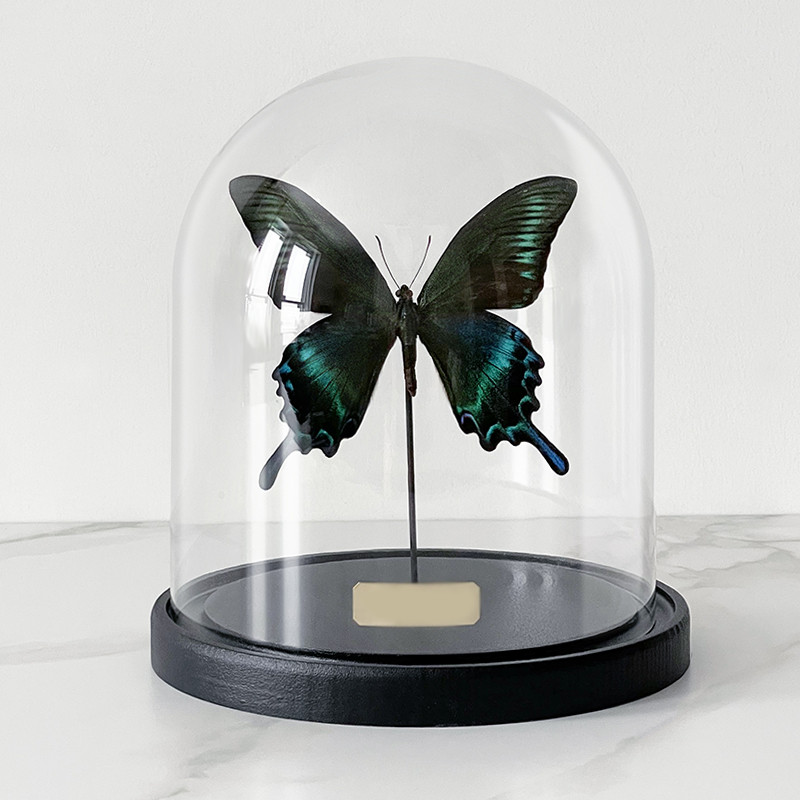 Статуэтка Butterfly Sailboat Maaka Glass Cloche