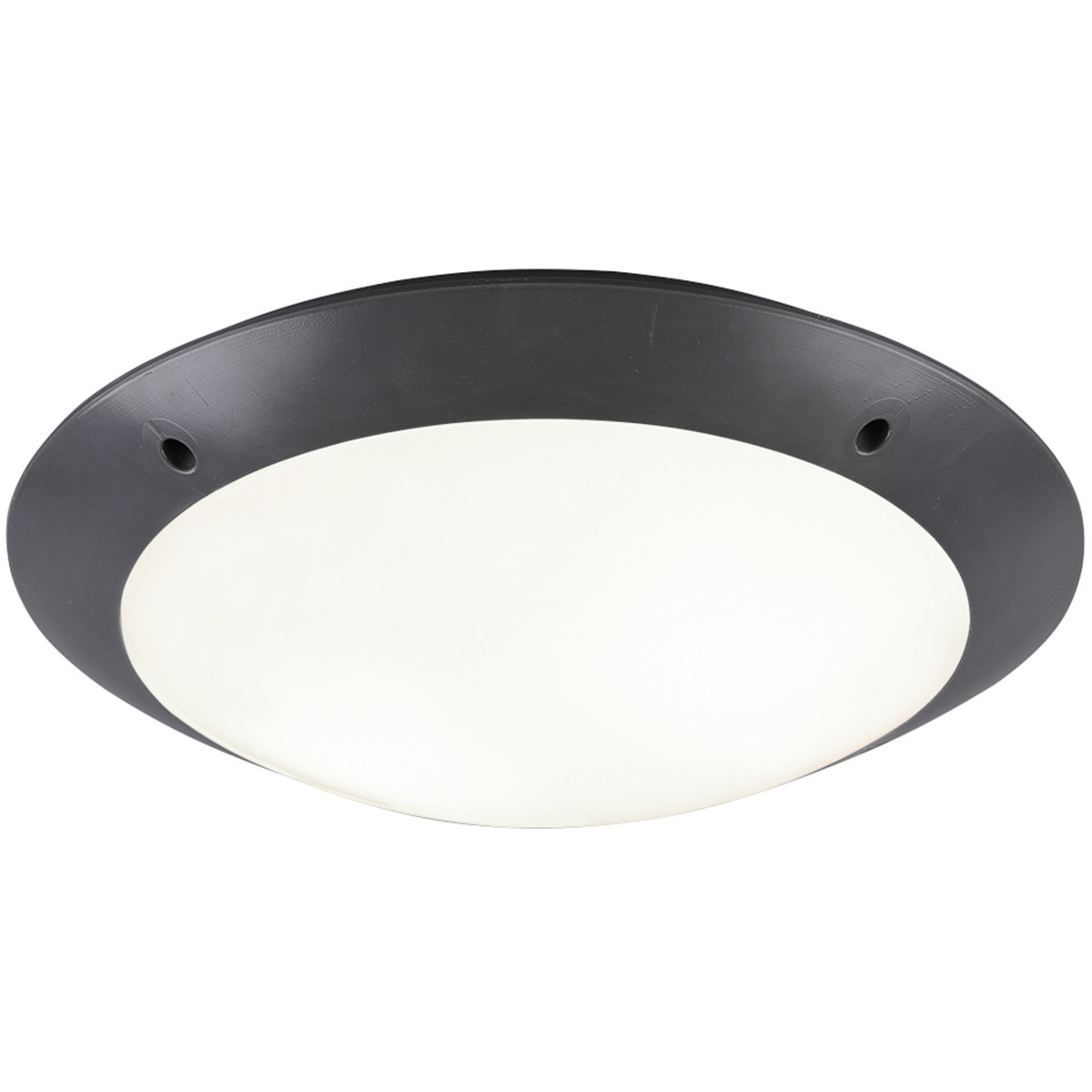 LED Plafondlamp - Badkamerlamp - Trion Camiro - Opbouw Rond - Waterdicht IP54 - E27 Fitting - 2-lichts - Mat Antraciet - Kunststof