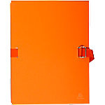 Exacompta Sorteermappen 223245E Oranje Karton bedekt met papier 24 x 32 cm 10 Stuks
