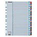 Leitz Maandtabbladen 100164 A4 Kleurenassortiment 31 tabs 11-gaats karton 1 tot 31