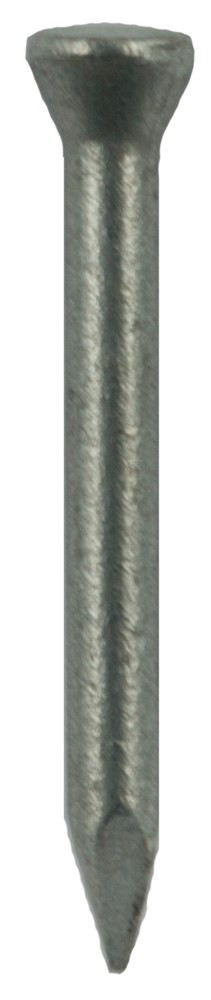 DQ stalen nagel vz 2.5x50mm ck (250st)