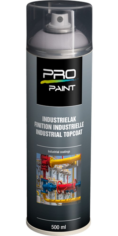PP Color Spray Zilvergrijs RAL7001 HG (500ml)