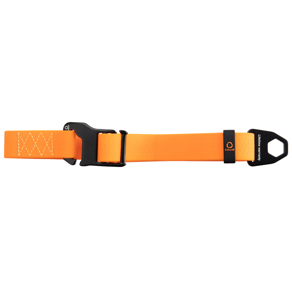 Collar Hondenhalsband Evolutor, oranje