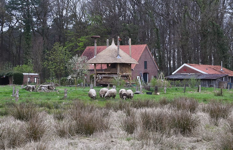 Natuurhuisje in Winterswijk Woold