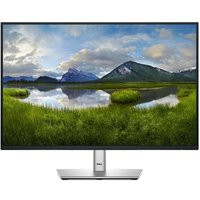 DELL P2425 - 24.1"