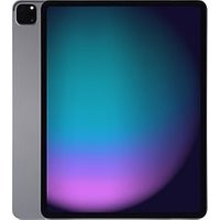 Apple iPad Pro 12,9 128GB [wifi, model 2021] spacegrijs