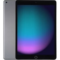 Apple iPad 10,2 256GB [wifi, model 2021] spacegrijs