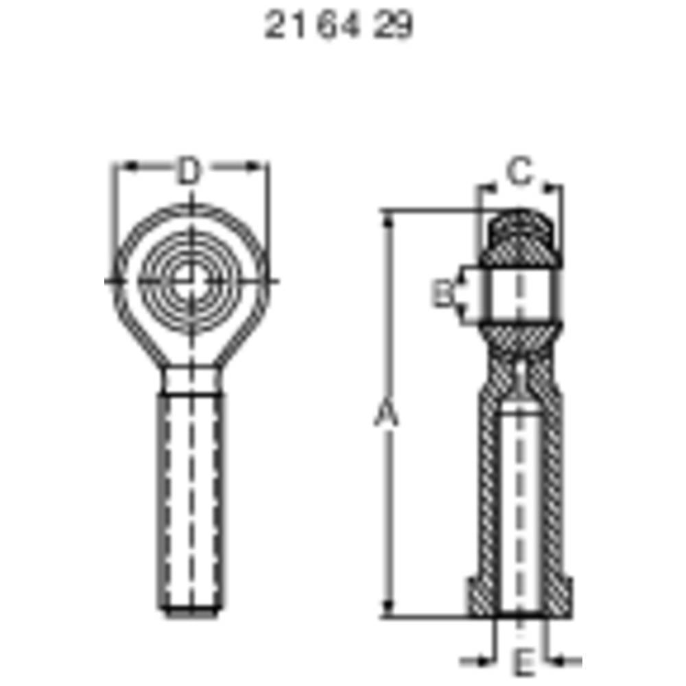 Modelcraft Staal Kogelkop Met binnenschroefdraad M10 1 stuk(s)