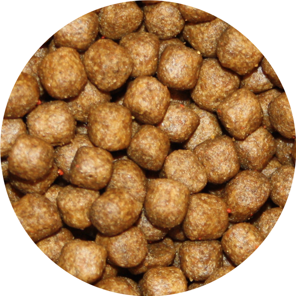 Pond Pro Super Grow Koi Voer - 6mm Eiwitrijke Korrels voor Groei & Helder Water, 5 kg