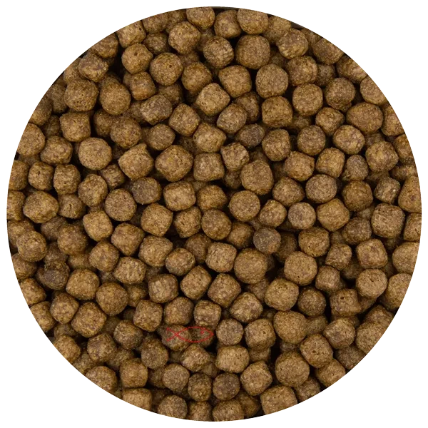 Pond Pro Koivoer Pellets 6mm - Optimale Groei & Gezondheid voor Koi, 10kg Zak