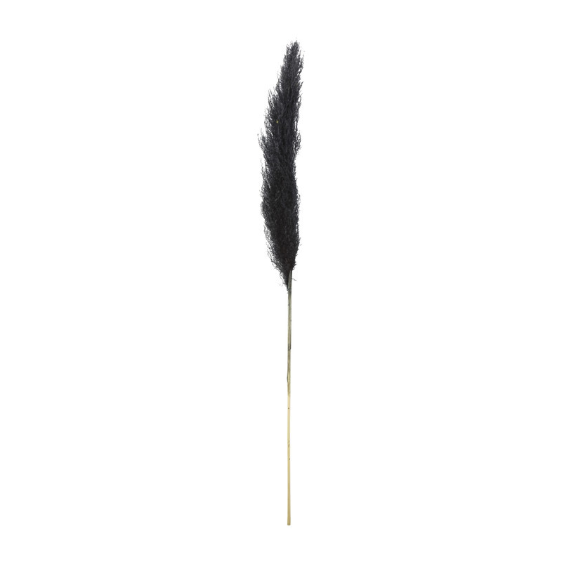Pampas - zwart - 115 cm