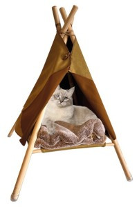 Quapas! - TeePee Tent With Blanket