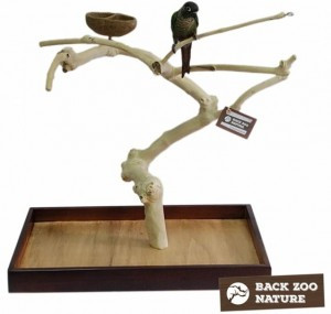 Back Zoo Nature - Java Playstand