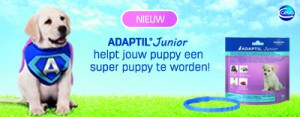 Adaptil - Junior