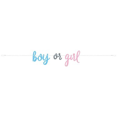 Gender reveal slinger boy or girl