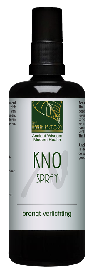 The Health Factory - KNO spray with Zinc and Silver 100 ml