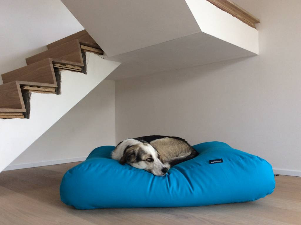 Dog's Companion® Hondenbed aqua blauw small