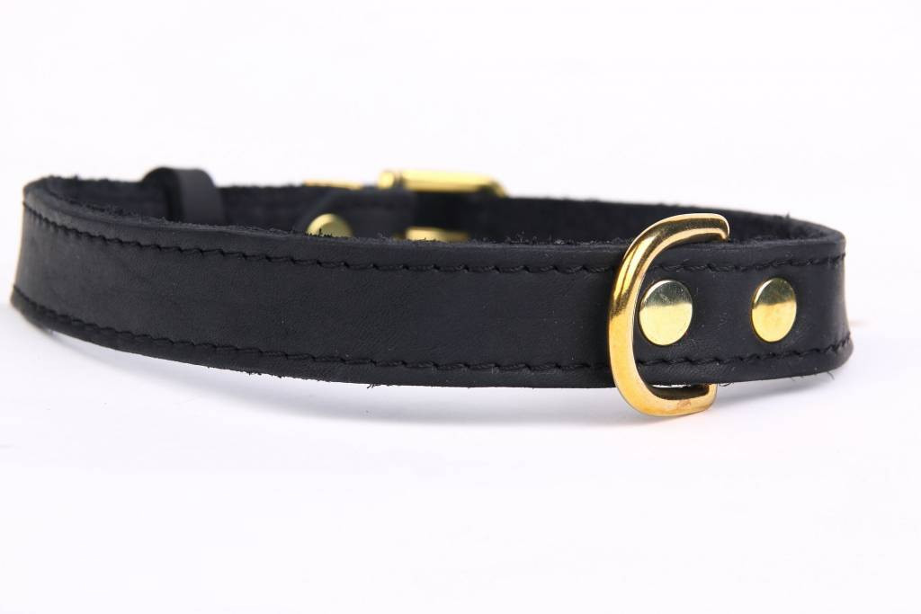 Leren hondenhalsband gold, exclusive