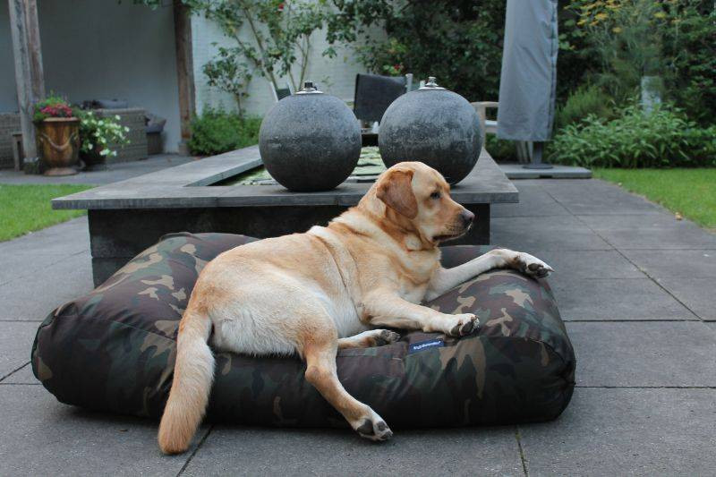Dog's Companion® Hondenbed army medium