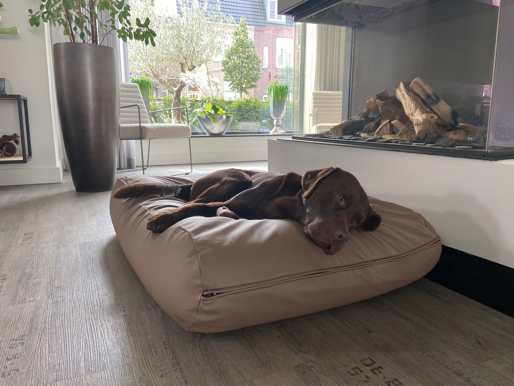 Dog's Companion® Hondenbed taupe leather look
