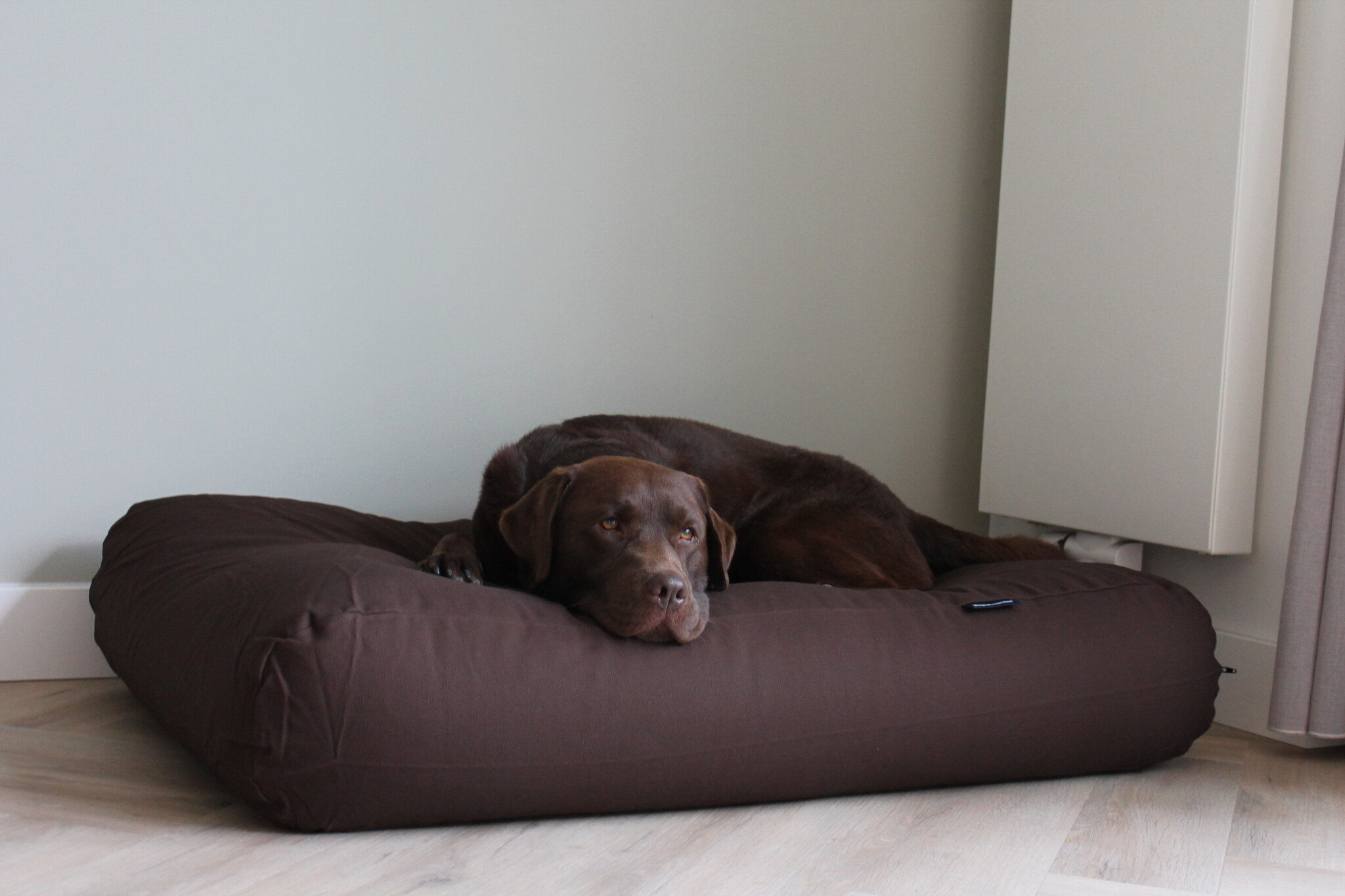 Dog's Companion® Hondenkussen chocolade bruin