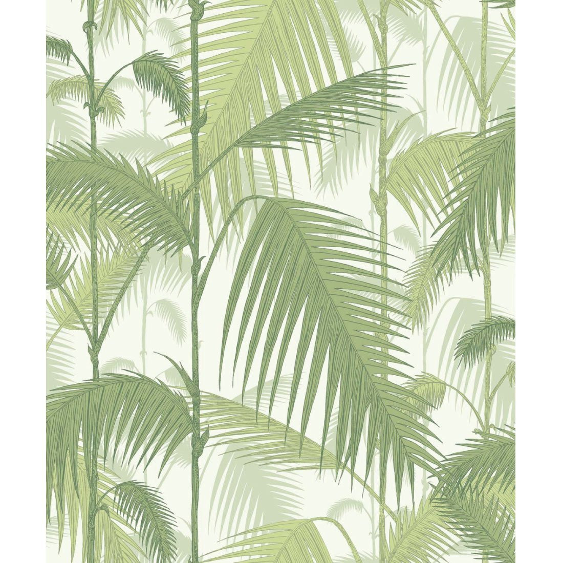 Cole & Son Palm Behang 951001