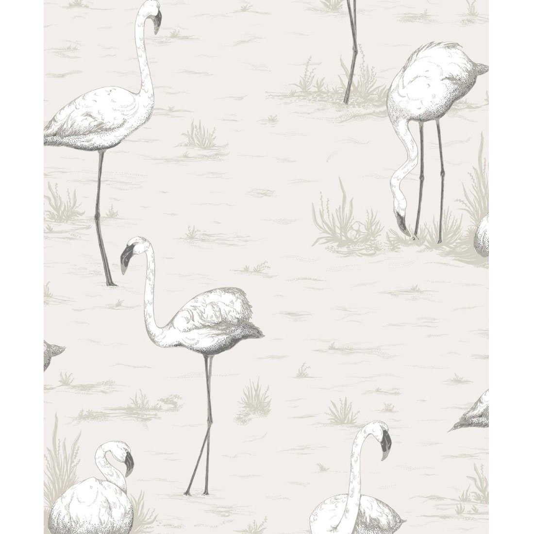 Cole & Son Flamingos Behang 958046