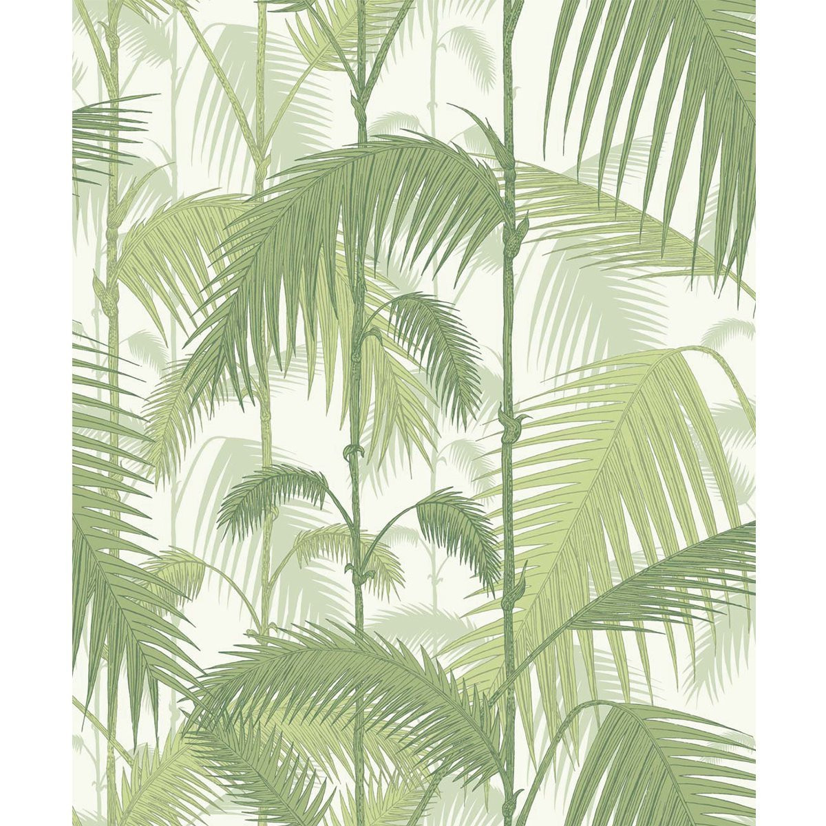 Cole & Son Palm Jungle Behang