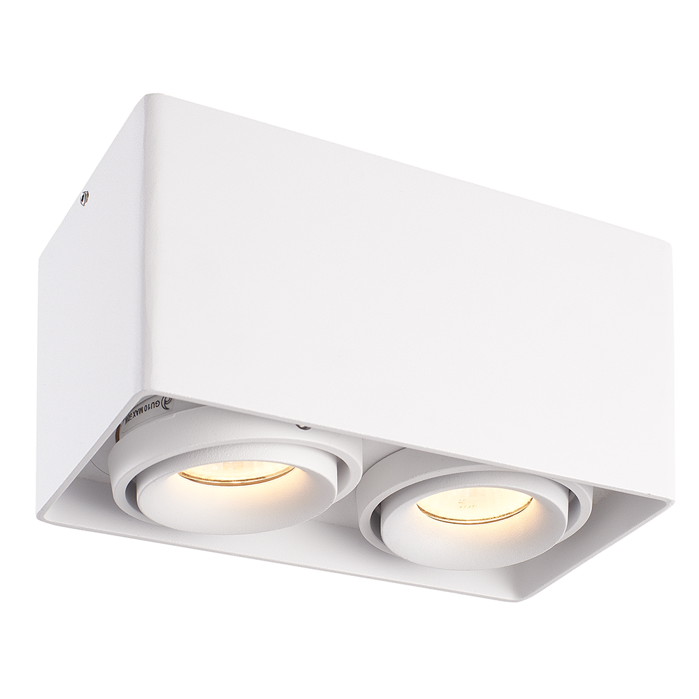 HOFTRONIC™ Dimbare LED opbouw plafondspot Esto Wit 2 lichts IP20 kantelbaar excl. lichtbron