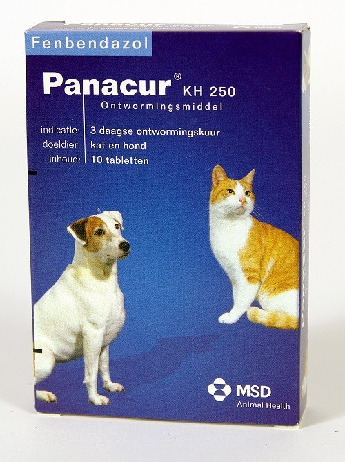 Panacur 250 Ontwormingsmiddel voor hond en kat 20 tabletten