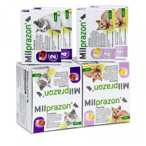 Milprazon Ontwormingsmiddel kat (2-8 kg) 4 tabletten