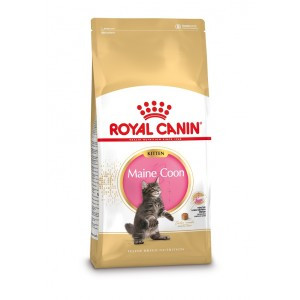 Royal Canin Kitten Maine Coon kattenvoer 2 x 10 kg