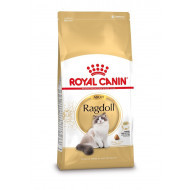 Royal Canin Adult Ragdoll kattenvoer 10 kg