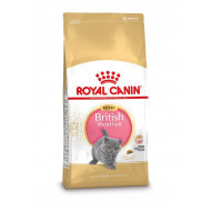 Royal Canin Kitten British Shorthair kattenvoer 2 x 10 kg