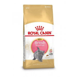 Royal Canin Kitten British Shorthair kattenvoer 10 kg