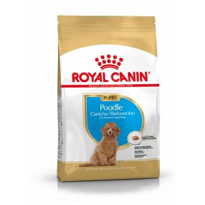 Royal Canin Puppy Poodle hondenvoer 3 kg