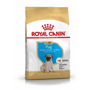 Royal Canin Puppy Pug (Mopshond) hondenvoer 1,5 kg