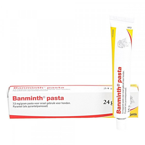 Banminth Pasta tegen wormen hond Per stuk