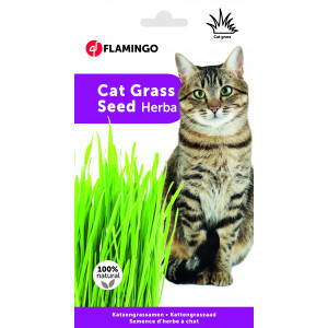 Kattengras 3 x 100 g