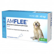 Amflee Spot-On 268 mg hond L 20 - 40 kg 4 x 3 pipetten