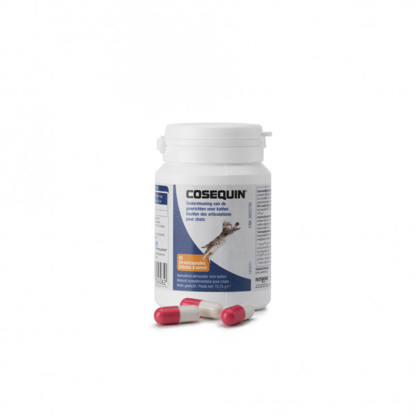 Cosequin voor de kat 2 x 45 capsules