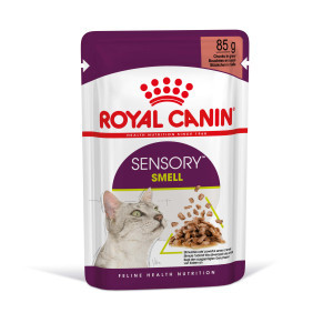 Royal Canin Sensory Smell nat kattenvoer 1 doos (12 x 85 g)