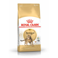 Royal Canin Adult Bengal kattenvoer 10 kg