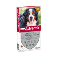 Advantix 600/3000 voor honden van 40 tot 60 kg 3 x 6 pipetten