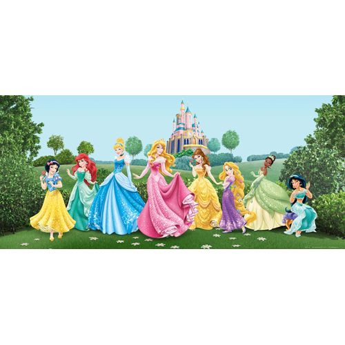 Disney Poster Prinsessen Groen, Blauw En Roze - 202 X 90 Cm - 600873