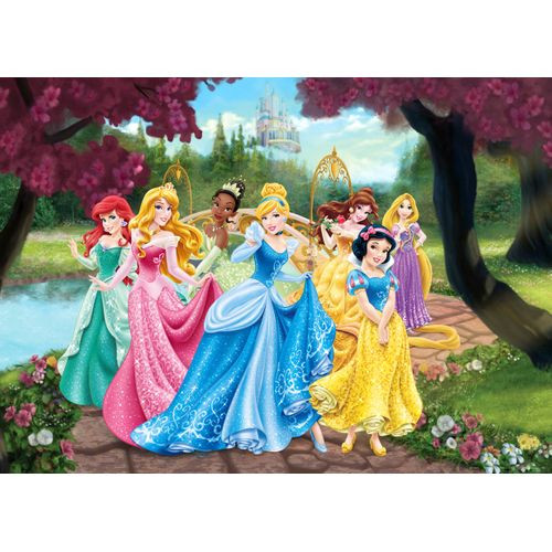 Disney Poster Prinsessen Roze, Geel En Blauw - 160 X 110 Cm - 600655