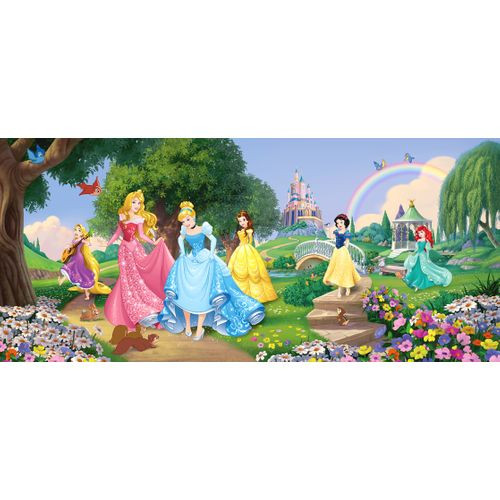 Disney Poster Prinsessen Groen, Blauw En Roze - 202 X 90 Cm - 600897